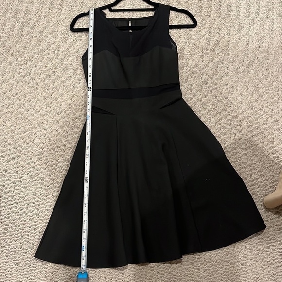 Elizabeth & James Black Fit & Flare Mesh Dress - Picture 9 of 10